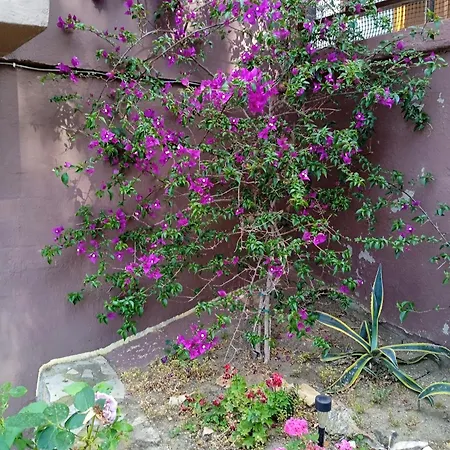 Butterfly 아파트 네아 로다